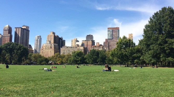 The Sheep Meadow